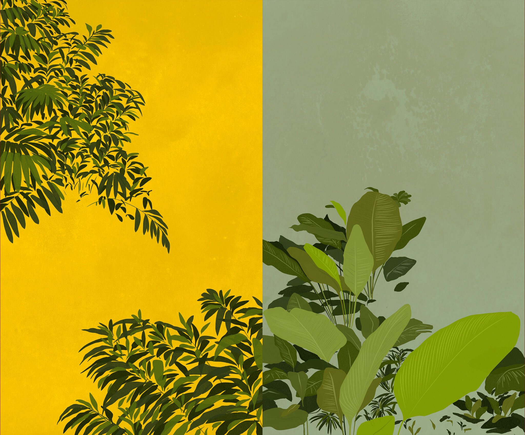 paloma_tarrio_alves_illustration_junglebook_dschungelbuch_kipling_jungle_36