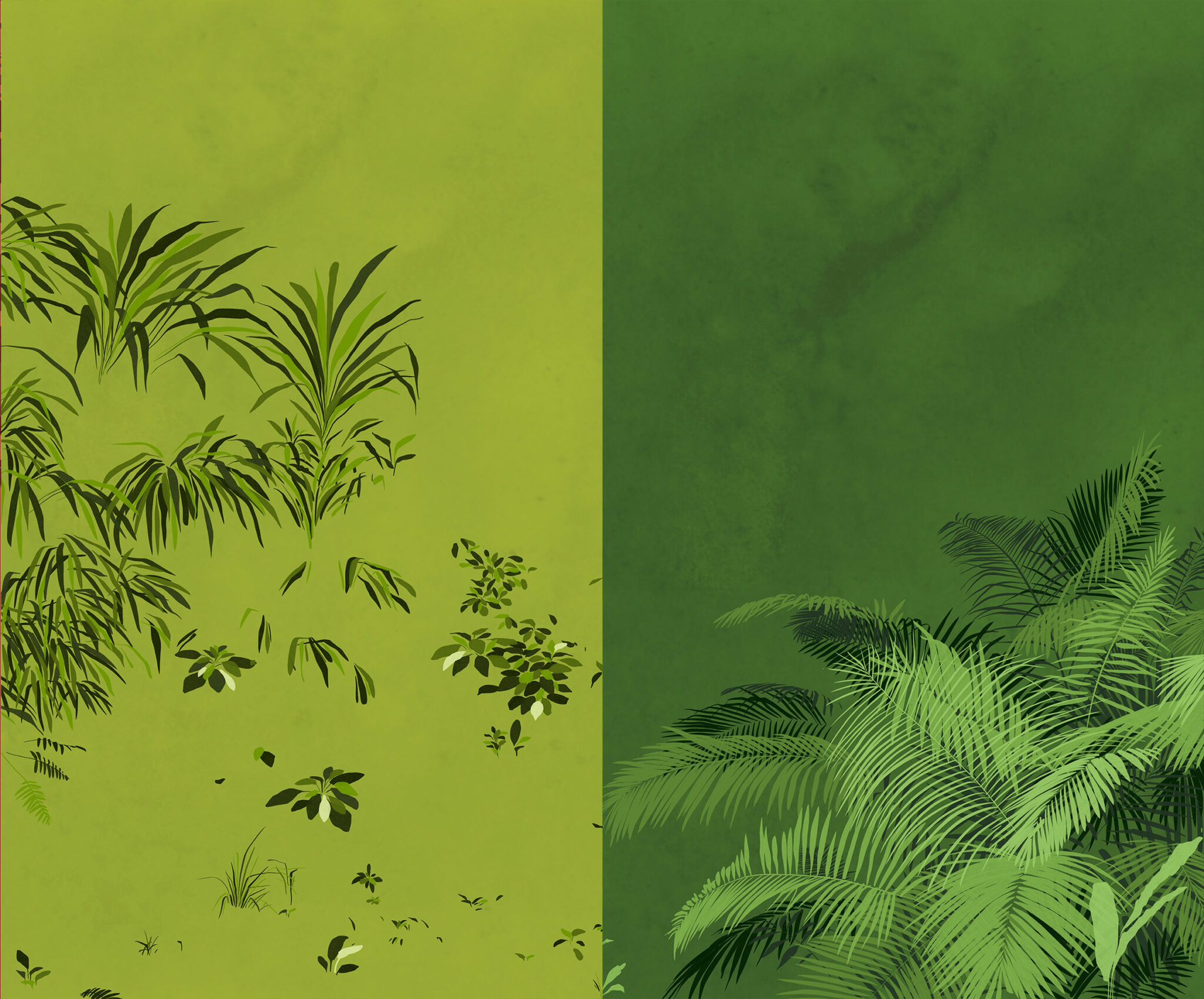 paloma_tarrio_alves_illustration_junglebook_dschungelbuch_kipling_jungle_37