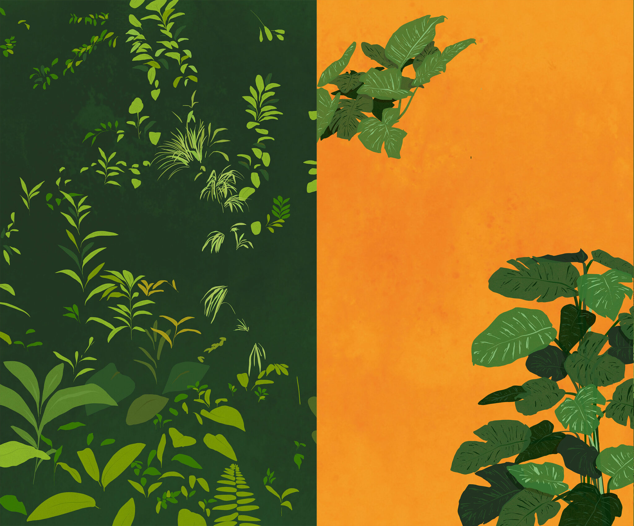 paloma_tarrio_alves_illustration_junglebook_dschungelbuch_kipling_jungle_38